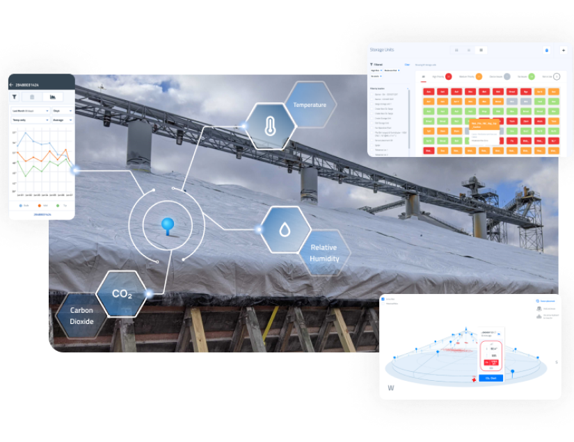 grain monitoring