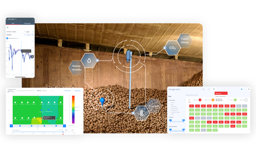 grain monitoring